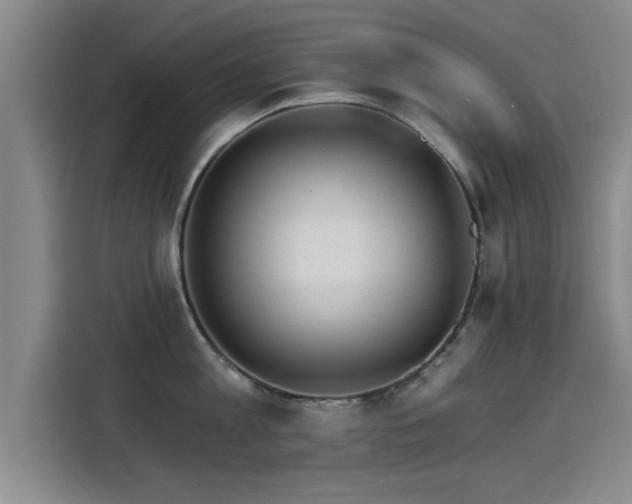 X0000115270813200911061306