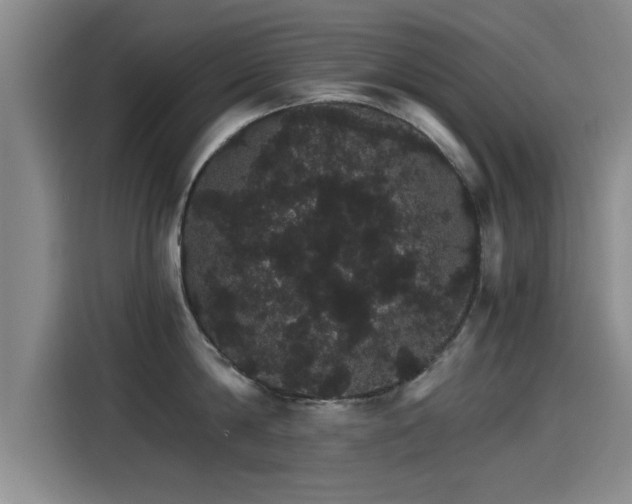 X0000115270814200911061306