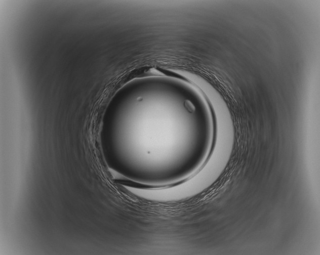 X0000115270817200911061306