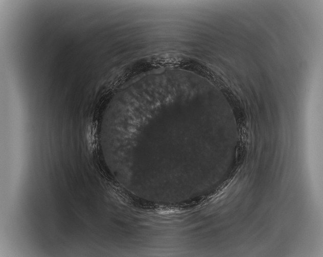 X0000115270818200911061306