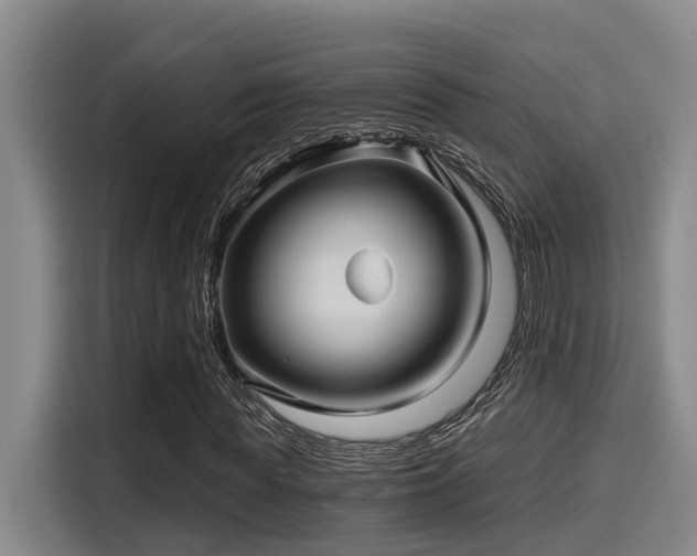 X0000115270819200911061306