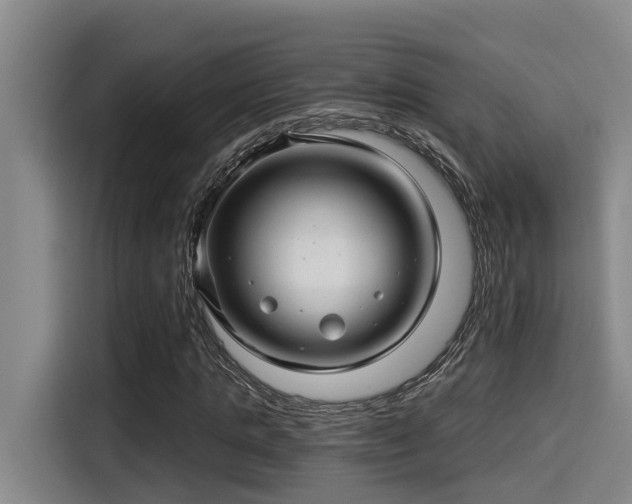 X0000115270821200911061306