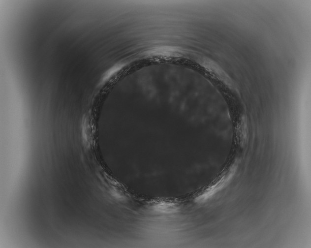 X0000115270822200911061306