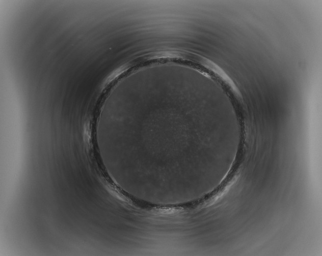 X0000115270826200911061306