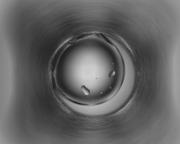 X0000115270827200911061306