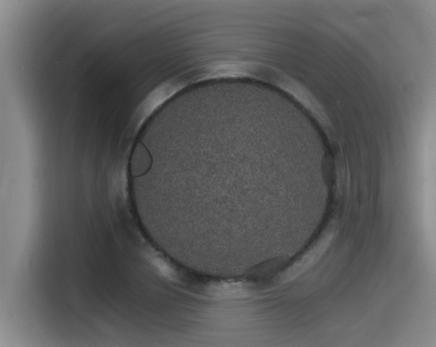 X0000115270834200911061306