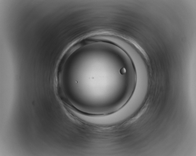 X0000115270837200911061306