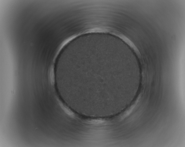X0000115270838200911061306