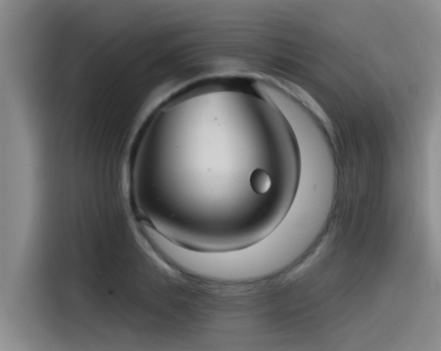 X0000115270839200911061306
