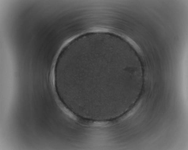 X0000115270840200911061306