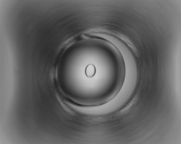 X0000115270841200911061306