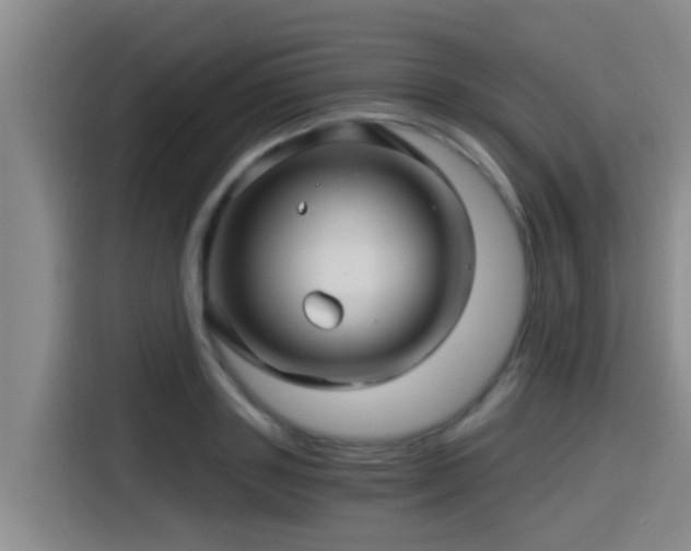 X0000115270843200911061306