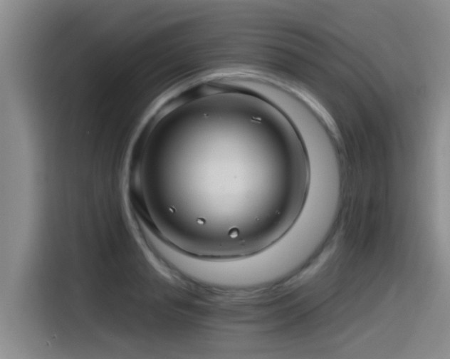 X0000115270845200911061306