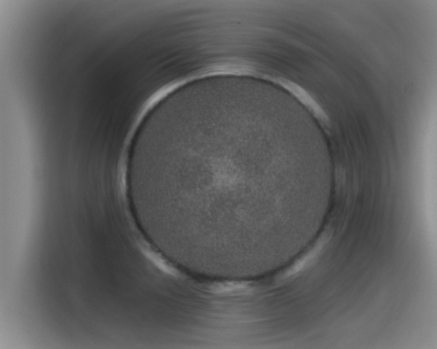 X0000115270846200911061306