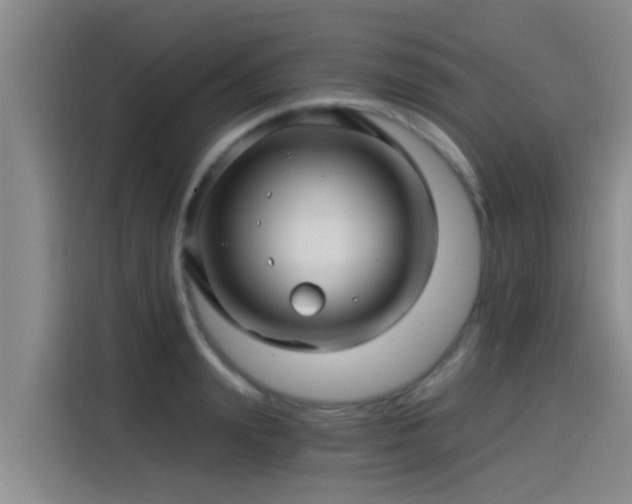 X0000115270847200911061306