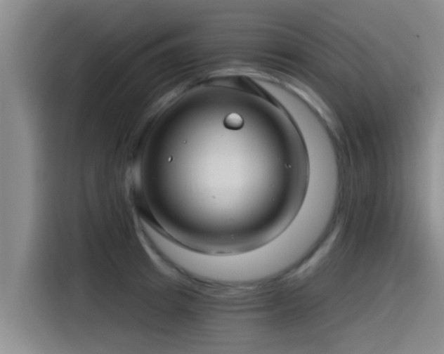 X0000115270849200911061306