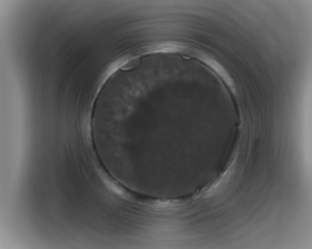 X0000115270850200911061306
