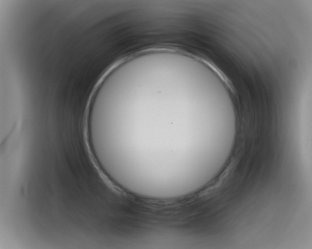 X0000115270853200911061306