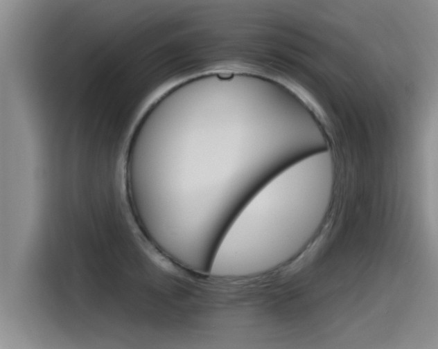X0000115270854200911061306