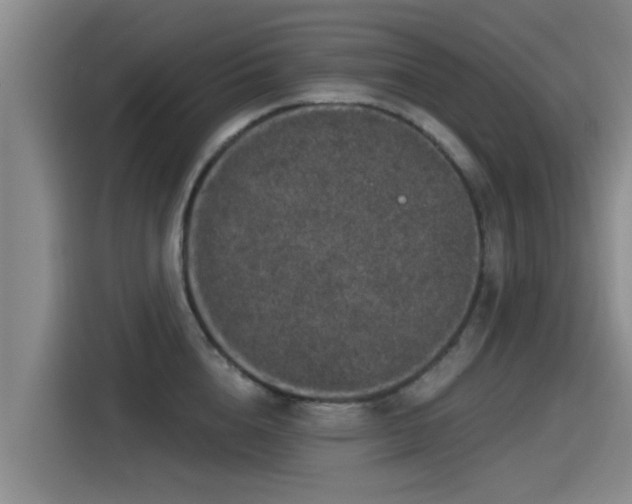 X0000115270856200911061306