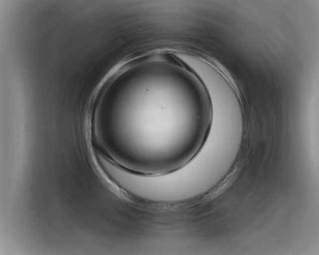 X0000115270859200911061306