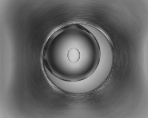 X0000115270861200911061306