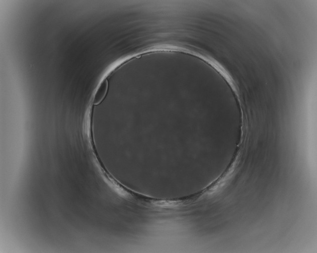 X0000115270862200911061306