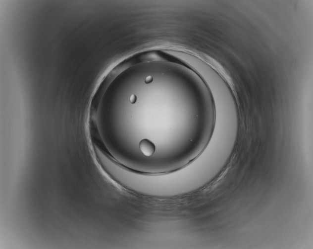 X0000115270863200911061306