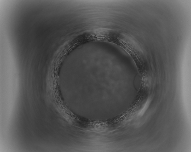 X0000115270865200911061306