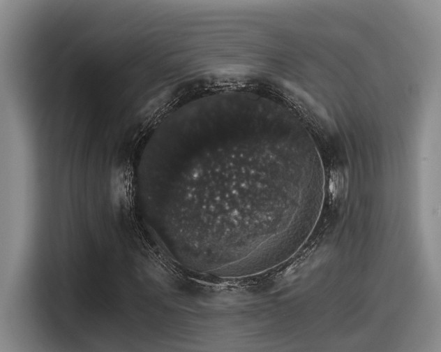 X0000115270867200911061306