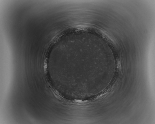X0000115270868200911061306