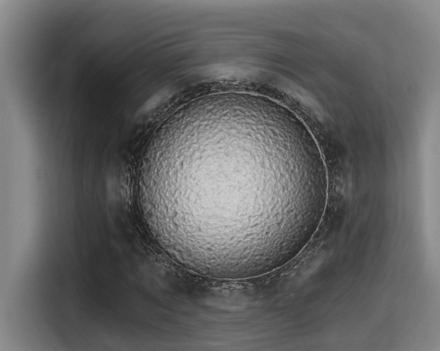 X0000115270869200911061306