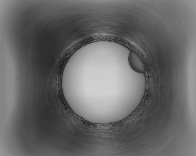X0000115270870200911061306