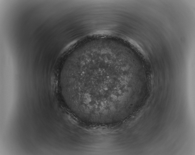 X0000115270872200911061306