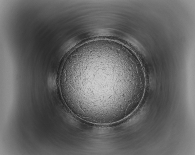 X0000115270873200911061306