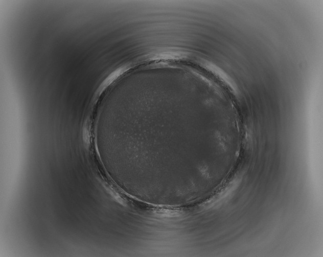 X0000115270874200911061306