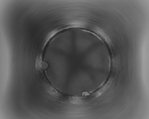 X0000115270875200911061306