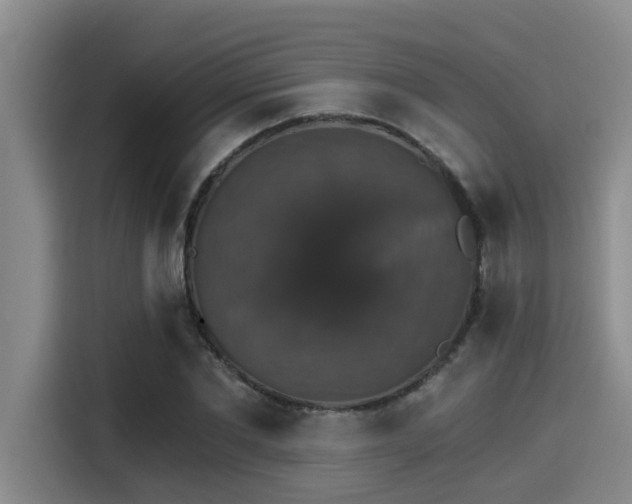X0000115270877200911061306