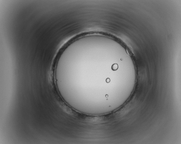 X0000115270879200911061306