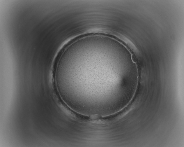 X0000115270880200911061306
