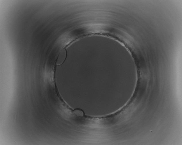 X0000115270881200911061305