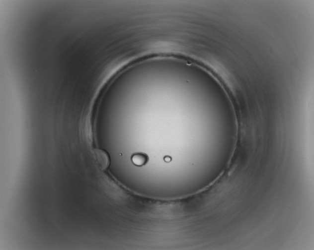 X0000115270887200911061305
