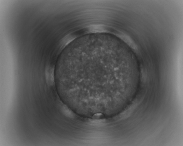 X0000115270889200911061305