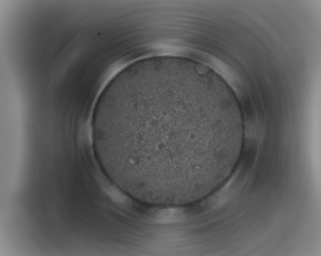 X0000115270891200911061305