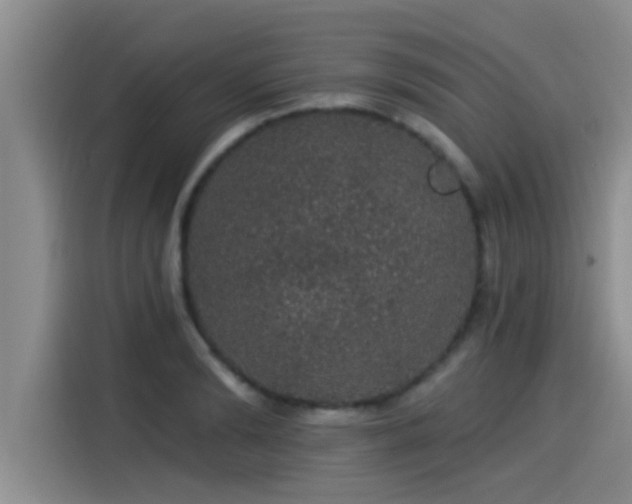 X0000115270894200911061305