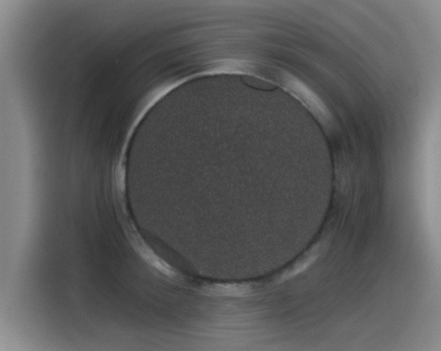 X0000115270900200911061305