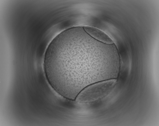 X0000115270901200911061305