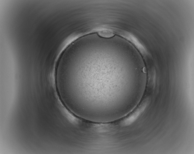 X0000115270902200911061305