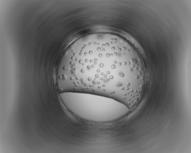 X0000115270905200911061305