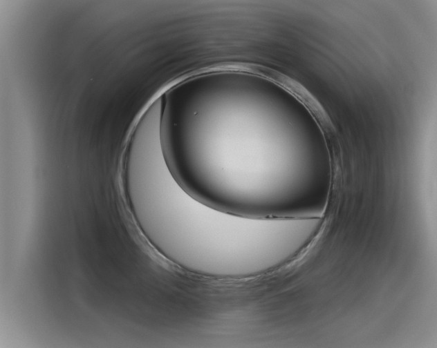 X0000115270908200911061305